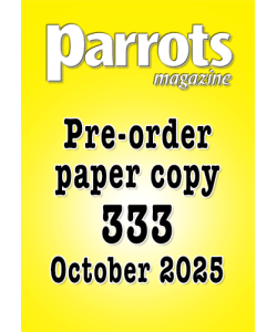 pre-order-333