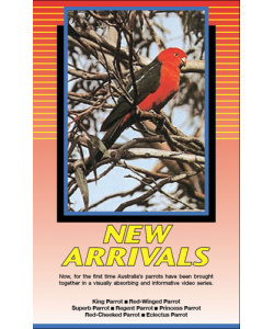 Land of Parrots - New Arrivals