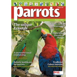 331_parrots_cover_500px