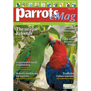 331_parrots_emagcover_500px