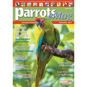 332_parrots_emagcover500px_1862979920