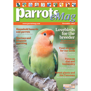 334_parrots_emagcover500px