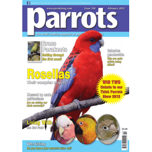 Parrots magazine, Issue 169