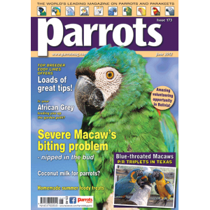 Parrots magazine, Issue 173