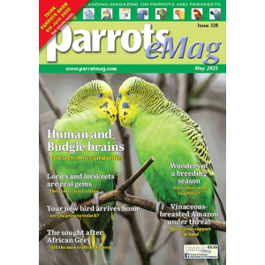 cover-328_34593188