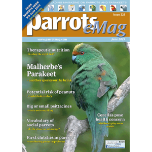 cover-329