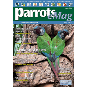 cover-330_1597825508