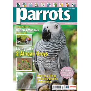 Parrots magazine, Issue 189