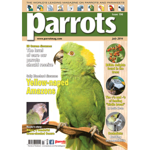 Parrots magazine, Issue 198, July 2014