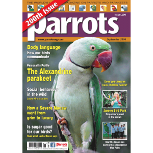 Parrots 200