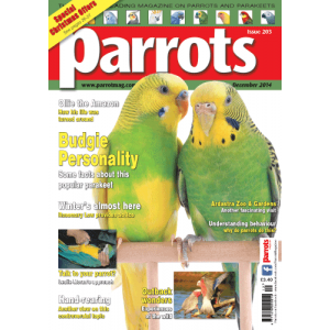 Parrots December 2014