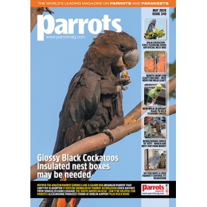 cover_parrots_mag_340_vw_500px_1572135894