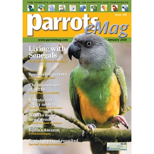 coveremag_parrots_mag_336_vw_500px