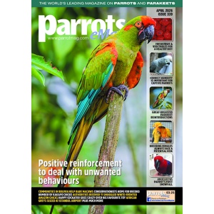 coveremag_parrots_mag_339_vw_500px