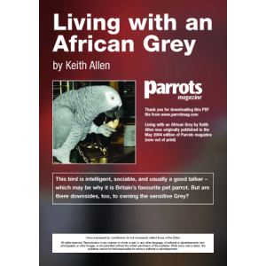 Living with an African Grey