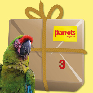 macawbundle3