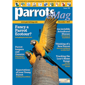 parrots_emag_335_vw_cover_500px