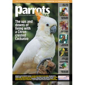 parrots_emag_342_vw_cover_500