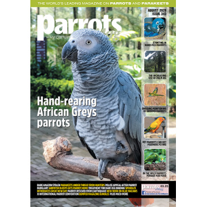 Parrots magazine, Issue 343 August 2026