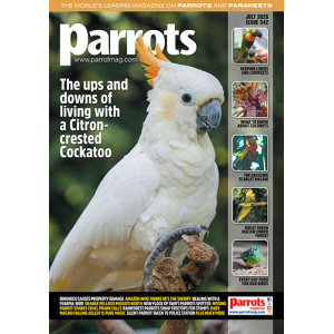 parrots_mag_342_vw_cover_500
