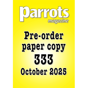 pre-order-333