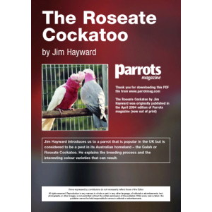 The Roseate Cockatoo