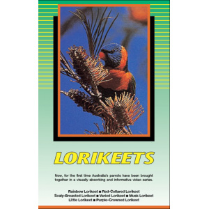 Land of Parrots Series - Lorikeets