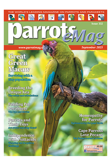332_parrots_emagcover500px_2058950477