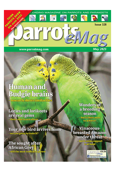 cover-328_34593188