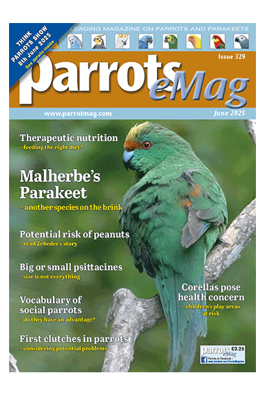 cover-329_1843297953