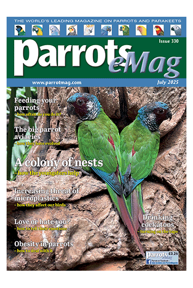 cover-330_1597825508